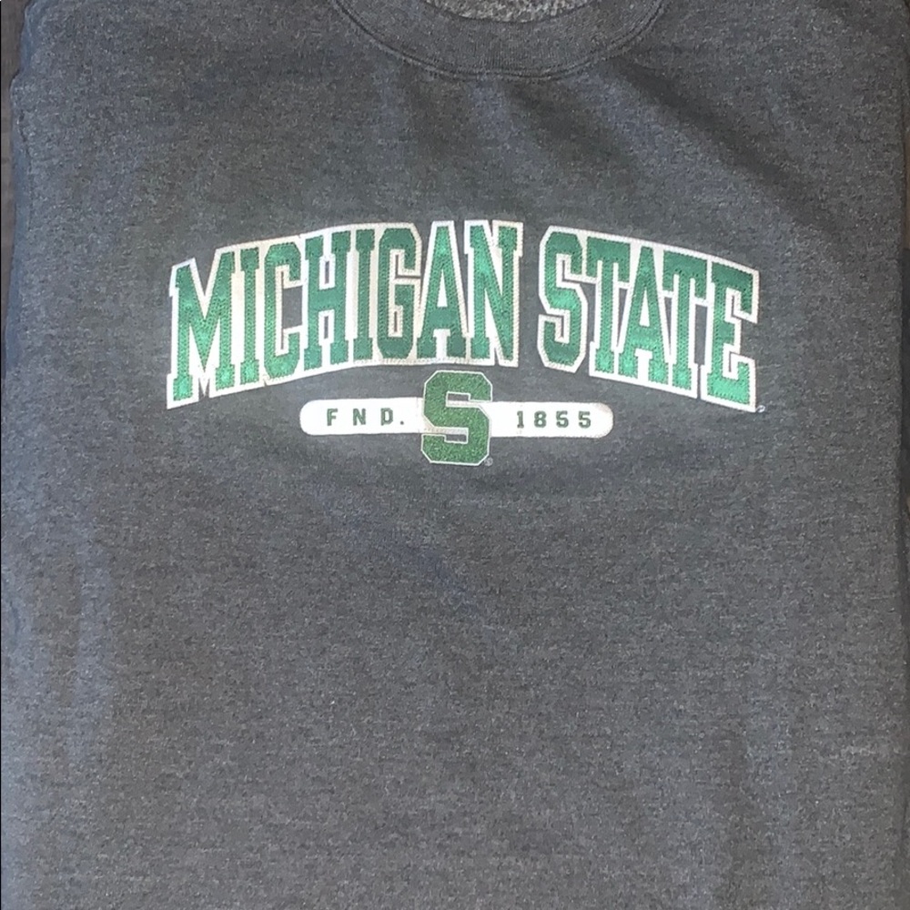 Michigan State Champion Hoodie